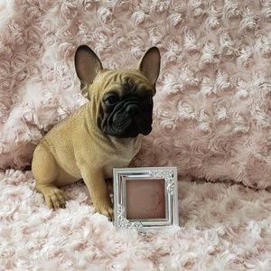 Pretty Vulgar Shimmering Swan Highlighter